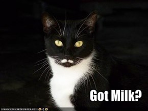 Got Milk?