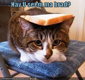 Hav U seem ma brad?