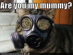 Are you my mummy?
