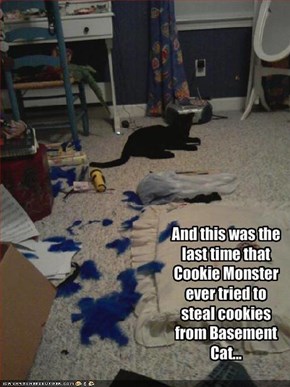 And this was the last time that Cookie Monster ever tried to steal cookies from Basement Cat...