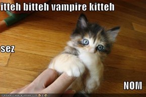 itteh bitteh vampire kitteh sez NOM