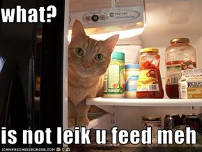 what?  is not leik u feed meh