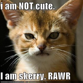 i am NOT cute.  I am skerry. RAWR