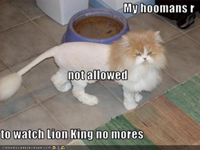 My hoomans r not allowed to watch Lion King no mores