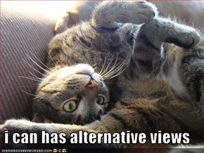 i can has alternative views