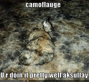 camoflauge  U r doin it pretty well aksullay