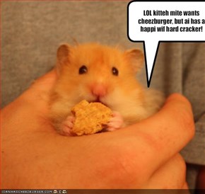 LOL kitteh mite wants cheezburger, but ai has a happi wif hard cracker!
