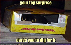 your toy surprise