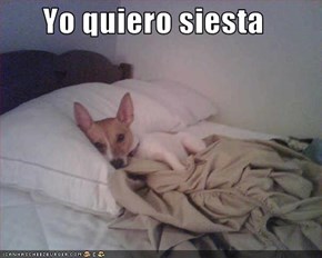 Yo quiero siesta