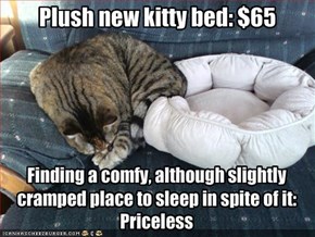 Plush new kitty bed: $65