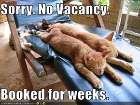 Sorry. No Vacancy.  Booked for weeks.