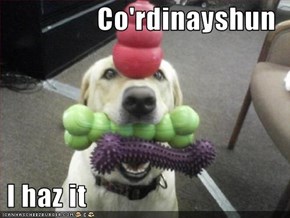 Co'rdinayshun   I haz it