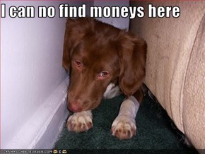I can no find moneys here