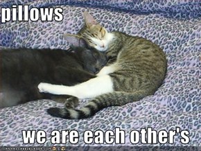 pillows  we are each other's