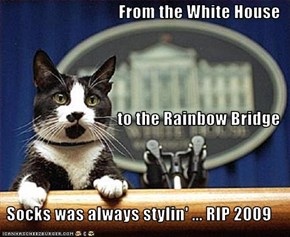 From the White House to the Rainbow Bridge Socks was always stylin' ... RIP 2009