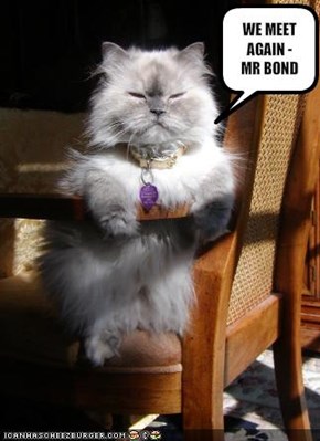 WE MEET AGAIN - MR BOND