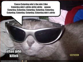 elton john kitteh