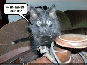 O - UM - HAI - UM - GIDDY-UP?