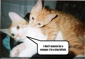 I don't wanna be a vampyr. I'm a day kitteh.