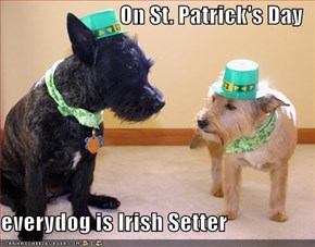 On St. Patrick's Day  everydog is Irish Setter