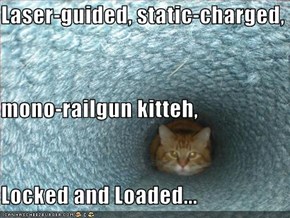 Laser-guided, static-charged, mono-railgun kitteh, Locked and Loaded...