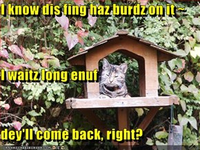 I know dis fing haz burdz on it ~ I waitz long enuf dey'll come back, right?