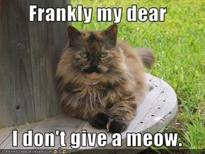 Frankly my dear  I don't give a meow.