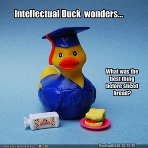 Intellectual Duck  wonders...