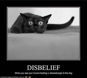 DISBELIEF