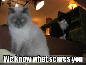 We know what scares you