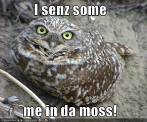 I senz some  me in da moss!
