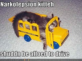 Narkolepsion kitteh  shuddn be alloed to drive