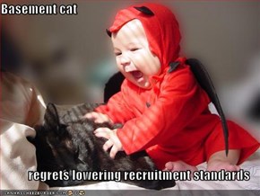Basement cat  regrets lowering recruitment standards