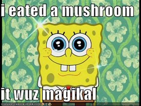 i eated a mushroom  it wuz magikal
