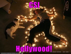 CSI  Hollywood!
