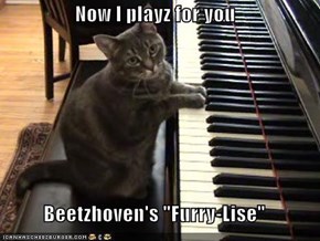 Now I playz for you  Beetzhoven's "Furry-Lise"