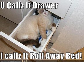 U Callz It Drawer  I callz It Roll Away Bed!