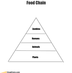 Food Chain