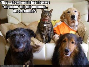 "Guys...show hoomin heer how we "negotiate" but  not  too much...he gotz thumbz".