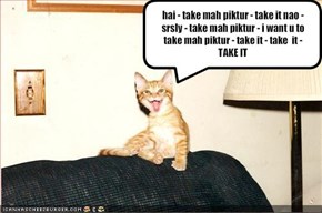 hai - take mah piktur - take it nao - srsly - take mah piktur - i want u to take mah piktur - take it - take  it - TAKE IT