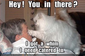 I   got   a   whimI   need   catered   to.