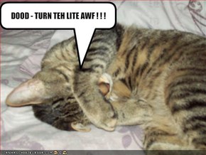 DOOD - TURN TEH LITE AWF ! ! !