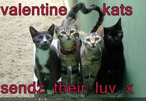 valentine    kats  sendz their luv x