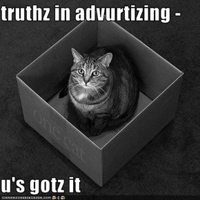 truthz in advurtizing -  u's gotz it