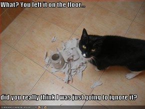 What? You left it on the floor...  did you really think I was just going to ignore it?