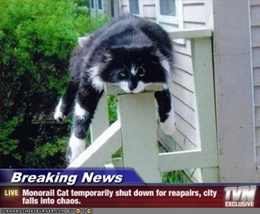 Breaking News - Monorail Cat temporarily shut down for reapairs, city falls into chaos.
