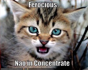Ferocious  Nao in Concentrate