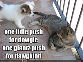 one lidle push for dowgieone giantz push for dawgkind