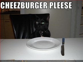 CHEEZBURGER PLEESE