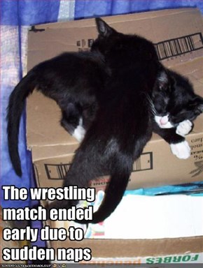 The wrestling match ended early due to sudden naps